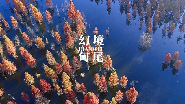 新夺宝英雄