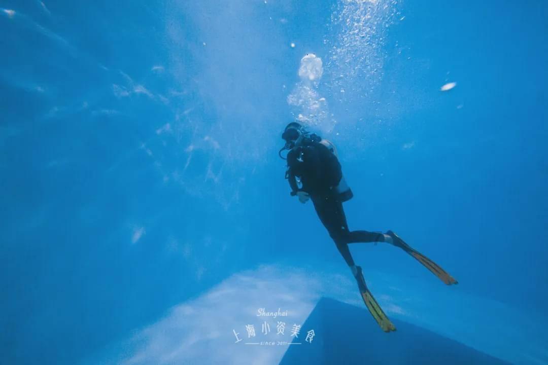敲锣打鼓登场?今晚《也许你要恋爱了》王耀庆张纯烨发出爱的鼓励